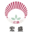 Logo Hongsheng Radiator France